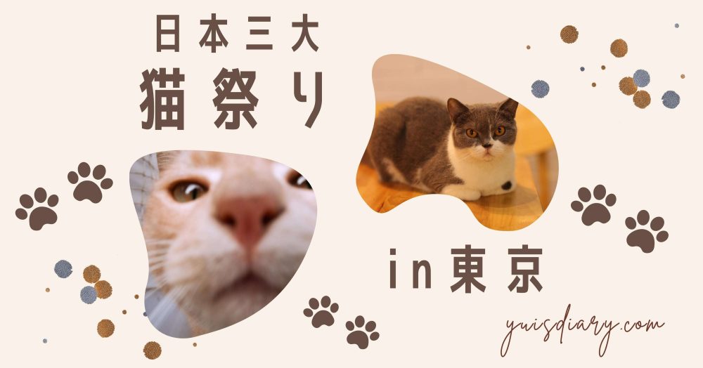 日本三代猫祭り